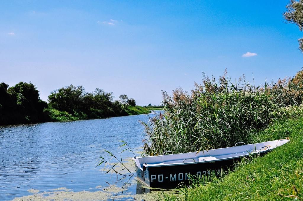 Дома для отпуска Żwirowa Góra - Domki nad Narwią Тыкоцин