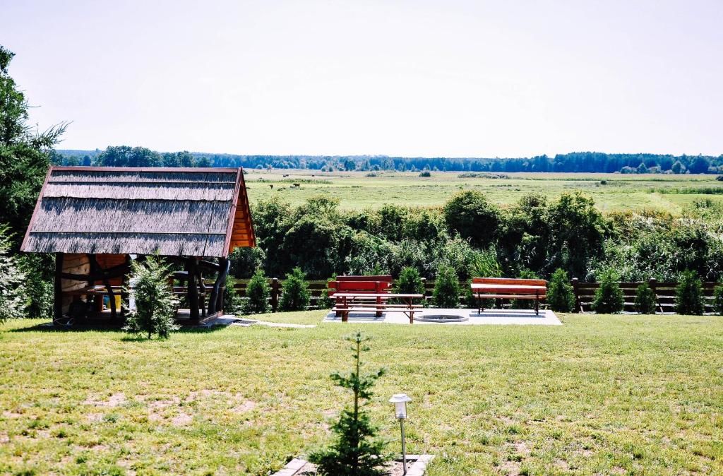 Дома для отпуска Żwirowa Góra - Domki nad Narwią Тыкоцин